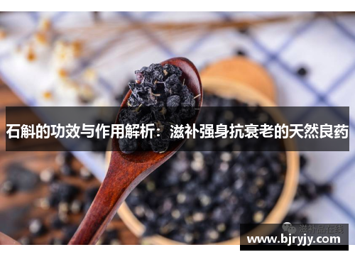 石斛的功效与作用解析：滋补强身抗衰老的天然良药